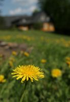 Un chalet mystérieux